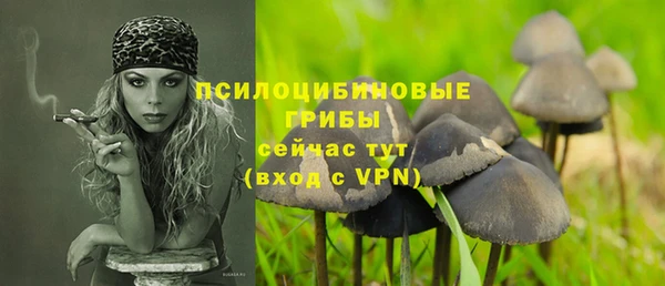 ешки Арсеньев