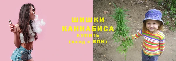трава Аркадак