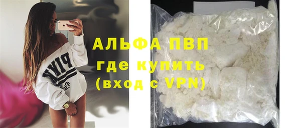 трава Аркадак