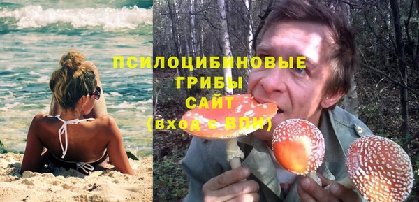ешки Арсеньев