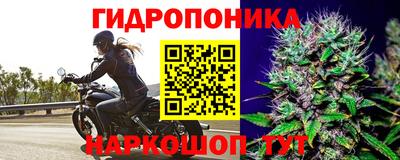spice Балаково