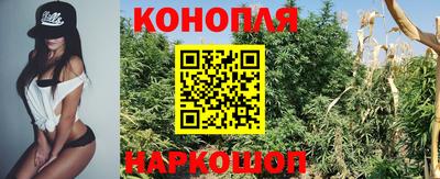 spice Балаково