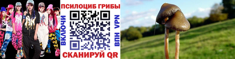 Псилоцибиновые грибы прущие грибы  Глазов 