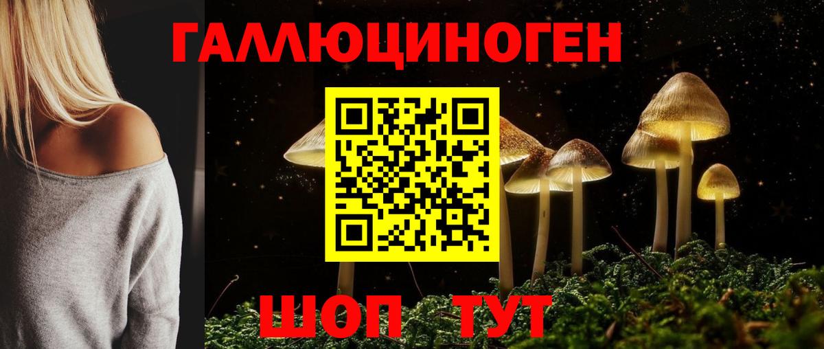 Псилоцибиновые грибы Psilocybine cubensis Глазов