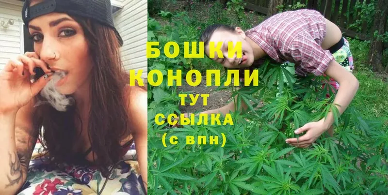 цена   Глазов  Бошки Шишки LSD WEED 